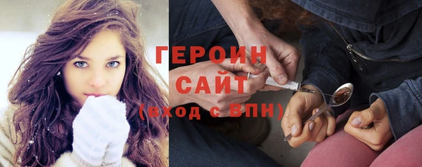 индика Осинники