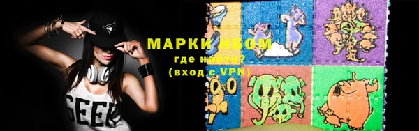 индика Осинники