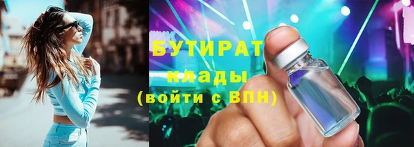 индика Осинники