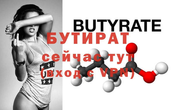 индика Осинники