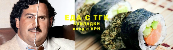 индика Осинники