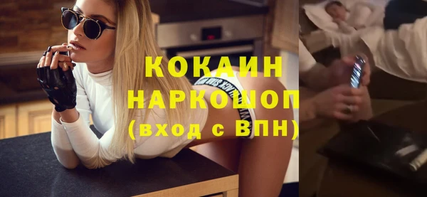 индика Осинники