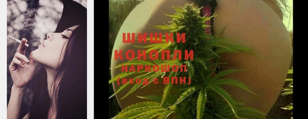 индика Осинники