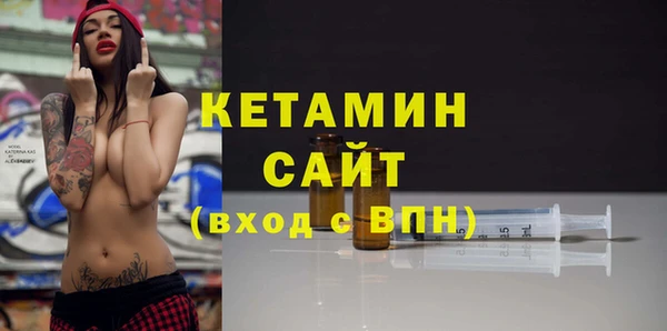 индика Осинники
