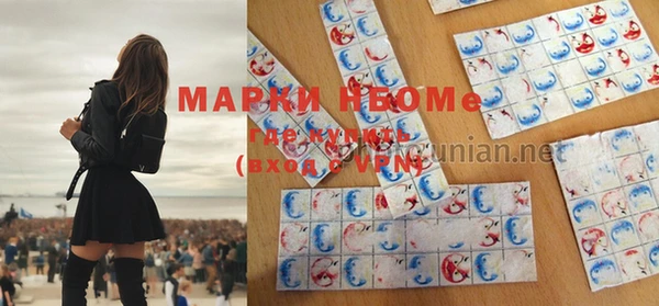 индика Осинники