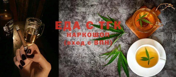 индика Осинники