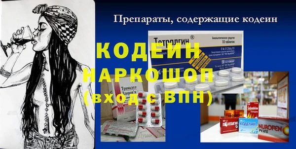 индика Осинники