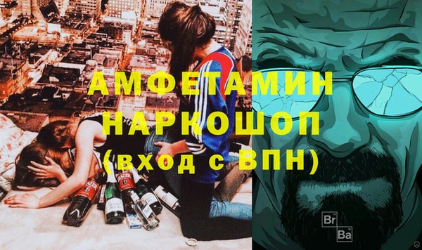 индика Осинники