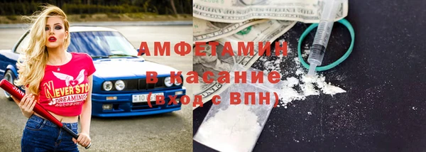 индика Осинники