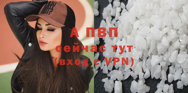 индика Осинники
