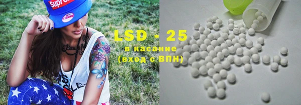 индика Осинники