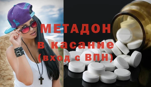 индика Осинники