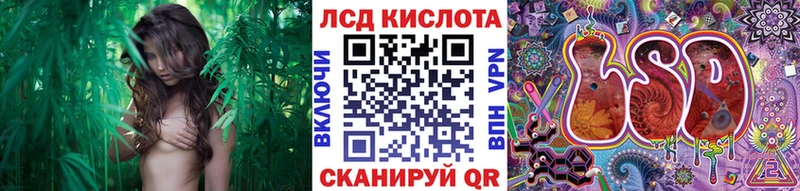 купить   Александровск-Сахалинский  Марки 25I-NBOMe 1,8мг 