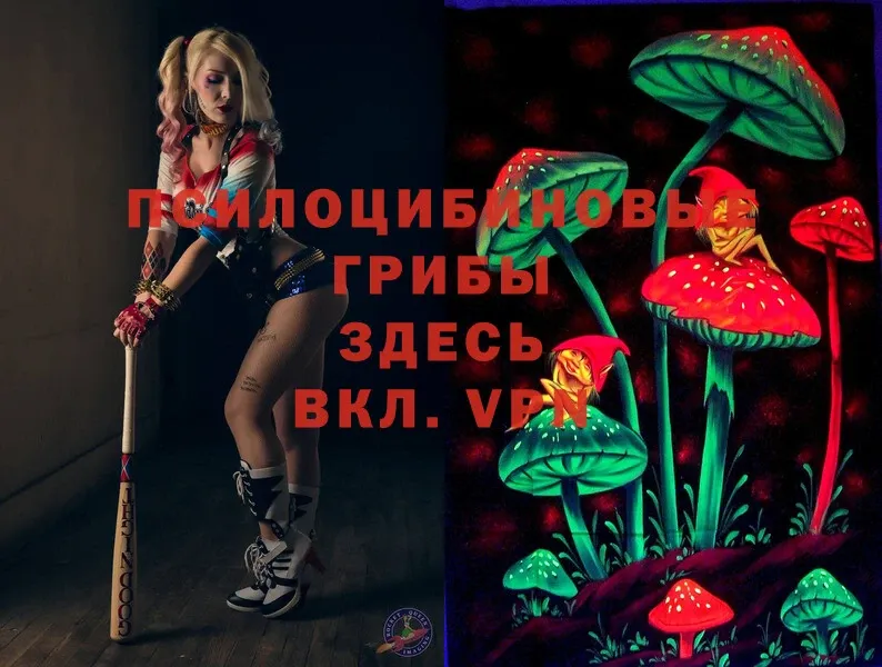 blacksprut вход  Александровск-Сахалинский  Галлюциногенные грибы Psilocybe 