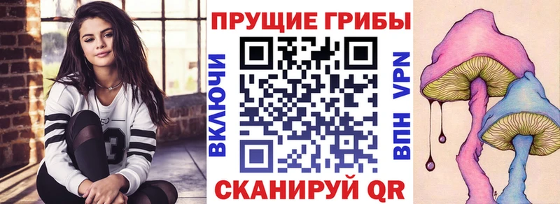 Галлюциногенные грибы Cubensis  наркошоп  Александровск-Сахалинский 